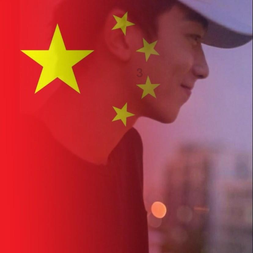 强大的狮子拼图