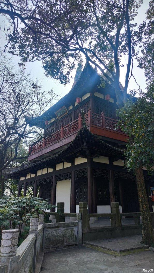 逃离大犀牛出没地